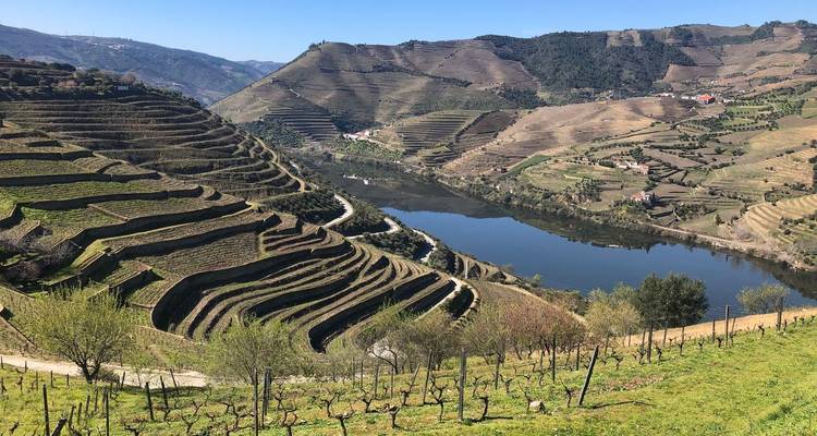 Les terrasses de vignobles ensoleillées descendant vers une rivière réfléchissante dans la région viticole du Douro au Portugal.