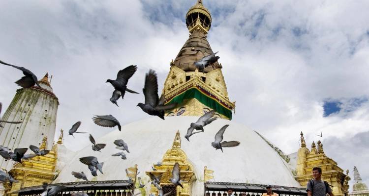 White dome stupa with gilded spire and colorful prayer flags as pigeons fly in the foreground under a bright sky.