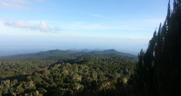 Panorama duplicado de colina boscosa bajo cielos despejados en las laderas del Kilimanjaro.