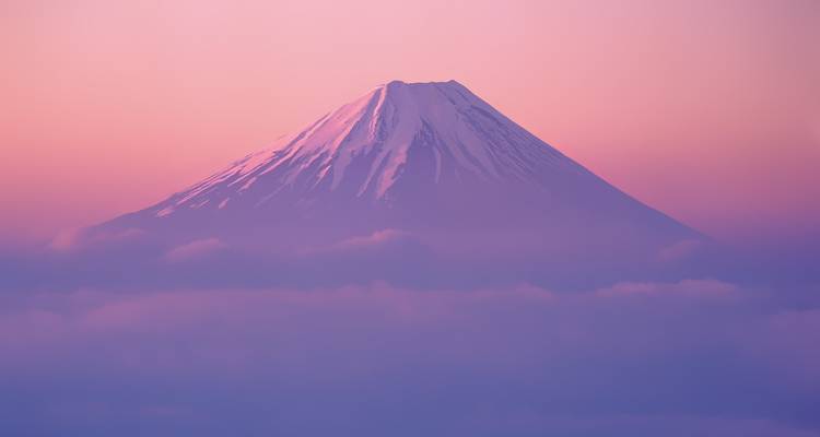 Eleganter Kegel eines schneebedeckten Berges, der bei Morgendämmerung mit rosa Himmel über pastellfarbenen Wolken hervorragt.