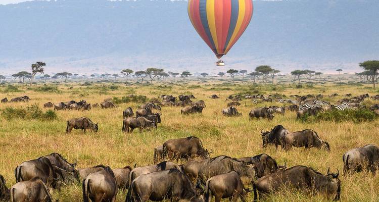 Weite Savannenszene mit Hunderten von Gnus, die grasen, während ein bunter Heißluftballon über den Ebenen schwebt.