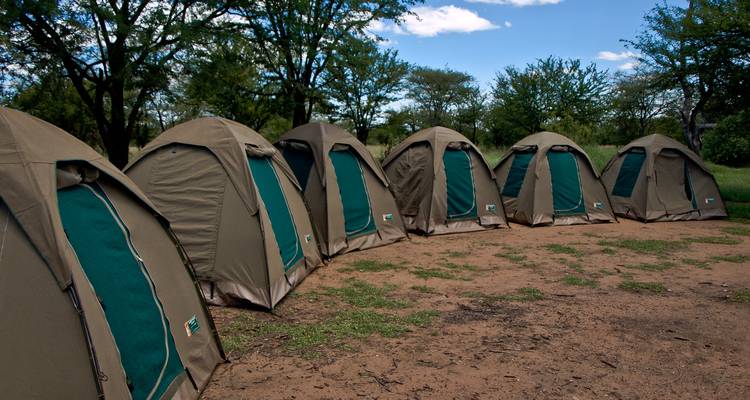 Ordentliche Reihe von grün-beigen Kuppelzelten auf sandigem Boden unter vereinzelten Bäumen auf einem Campingplatz aufgeschlagen.
