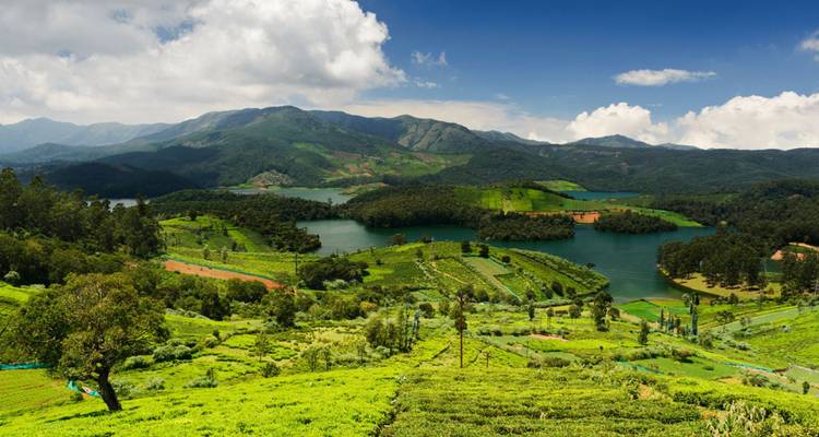 Üppige grüne Teeplantagen, Wälder und blaue Seen, umgeben von sanften Bergen unter einem lebendigen Himmel in den Nilgiri-Hügeln.
