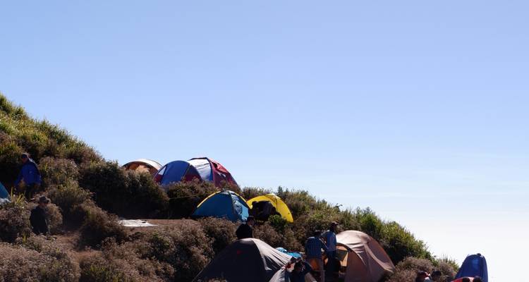 Grupo de tiendas de campaña coloridas instaladas en una ladera montañosa con arbustos bajo un cielo azul despejado con excursionistas moviéndose por los alrededores.