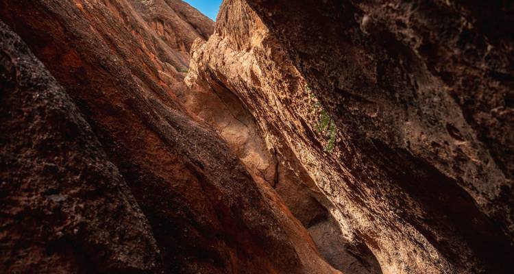 Abstrakte Aufwärtsansicht von sonnenbeschienenen strukturierten Canyonwänden, die zu einem schmalen Himmelsstreifen zusammenlaufen
