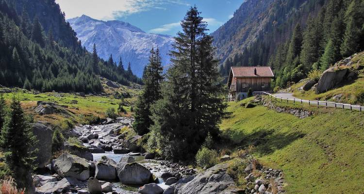 Idyllisches Alpental mit einem Bach, Kiefernwäldern und schneebedeckten Gipfeln in der Ferne.