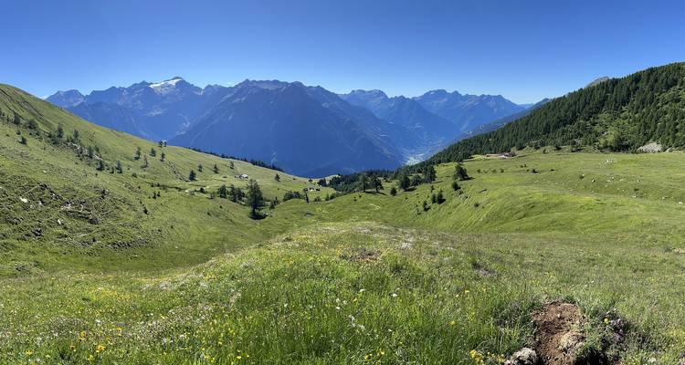 Weite Panoramaaussicht über sanfte Almwiesen hin zu aufragenden Gebirgsketten unter klarem Himmel.