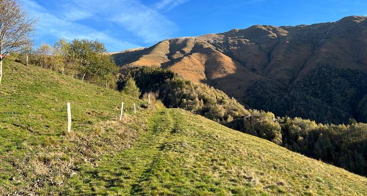 Un sendero herboso en la ladera conduce hacia montañas escarpadas y soleadas bajo un cielo azul despejado.