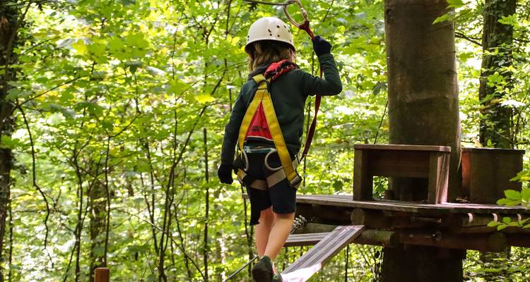 Niño con casco navega por un circuito de cuerdas en las alturas entre los densos árboles verdes del bosque