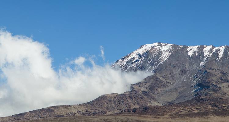Las laderas superiores cubiertas de nieve del Monte Kilimanjaro elevándose sobre nubes flotantes contra un cielo azul claro.