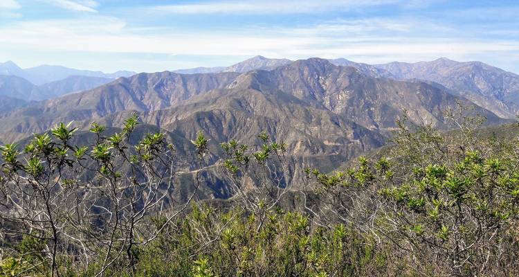Chaîne de montagnes aride avec une végétation clairsemée sous un ciel bleu éclatant vue à travers des arbustes au premier plan.