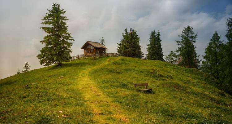 Pequeña cabaña de madera en una colina verde y exuberante con abetos y un banco rústico bajo un cielo melancólico.
