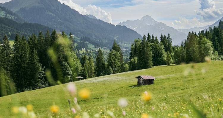 Prado alpino con flores silvestres, una pequeña cabaña de madera y montañas boscosas bajo un cielo azul con nubes dispersas