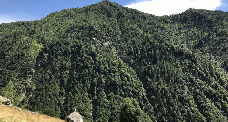 Ladera montañosa empinada y densamente boscosa con una pequeña cabaña de piedra en la base