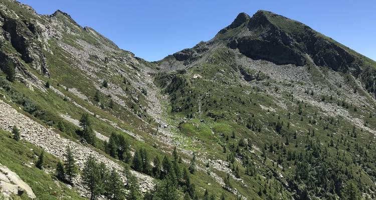 Valle alpino escarpado con laderas rocosas y árboles de hoja perenne dispersos bajo cielo despejado