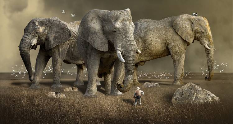 Imagen compuesta artística de tres elefantes gigantes que se alzan sobre una persona pequeña en una llanura herbosa