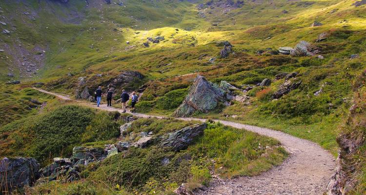 Pequeño grupo de excursionistas caminando por un sendero serpenteante de montaña a través de laderas verdes