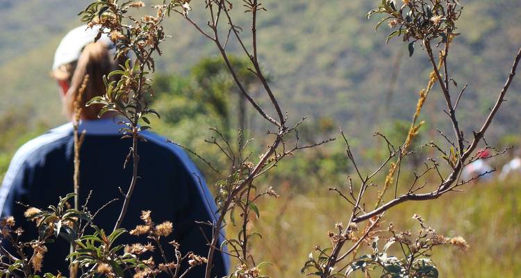 Persona desenfocada detrás de ramas con flores secas contra un fondo montañoso