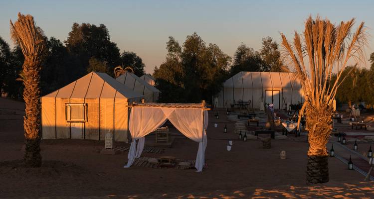 Campamento de glamping en el desierto con tiendas de lona y palmeras brillando bajo la cálida luz del atardecer.
