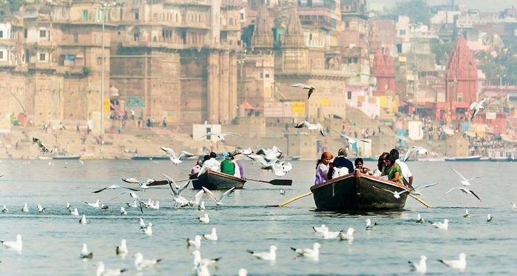 Dos botes de remos de madera llenos de peregrinos se deslizan por el Ganges entre bandadas de gaviotas blancas con los ghats de Varanasi al fondo.