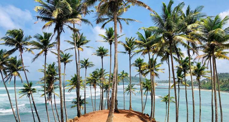 Iconic cluster of tall coconut palms on small cliff peninsula overlooking turquoise Indian Ocean.