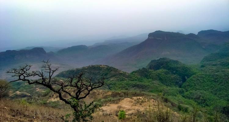 Hazy layers of forested hills and rugged mesas recede into the mist under an overcast sky.