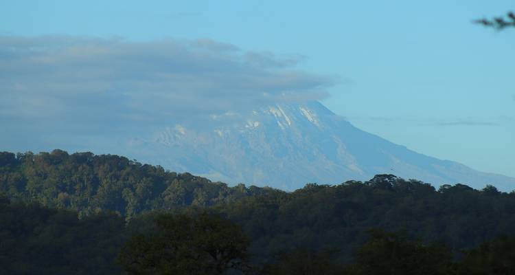 De hellingen van Kilimanjaro vervagen in de ochtendnevel boven dicht groen bos onder een bleekblauwe lucht.