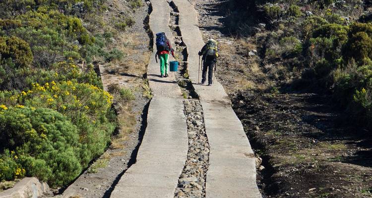 Rugzaktoeristen lopen over betonnen pad door alpiene heide op Kilimanjaro-route.