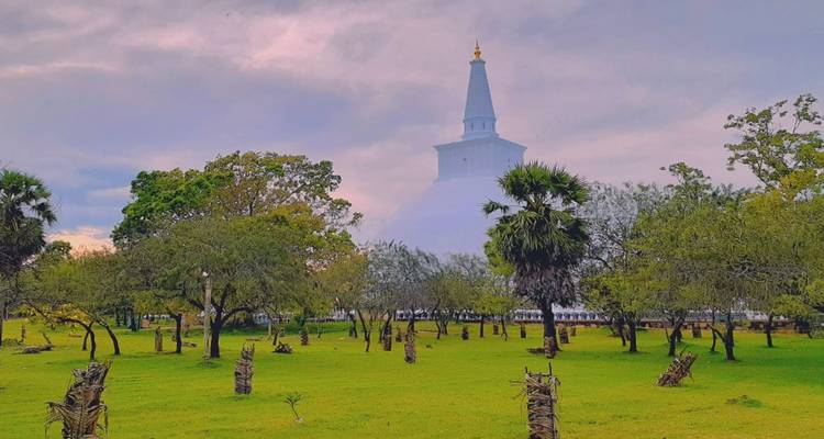 Witte stupa die uitrijst boven een groen park bezaaid met kleine palmbomen onder een bewolkte hemel