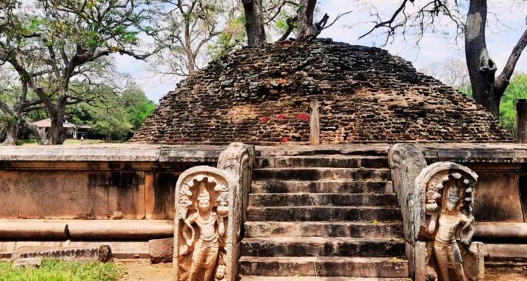 Verwoeste bakstenen stupa omringd door oude steenbeeldhouwwerken en schaduwrijke bomen