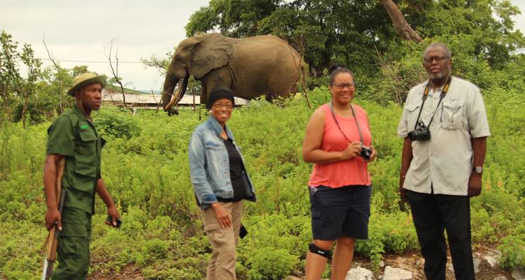 Visitors stand with a ranger while an elephant browses in lush shrubs just a few metres behind them.