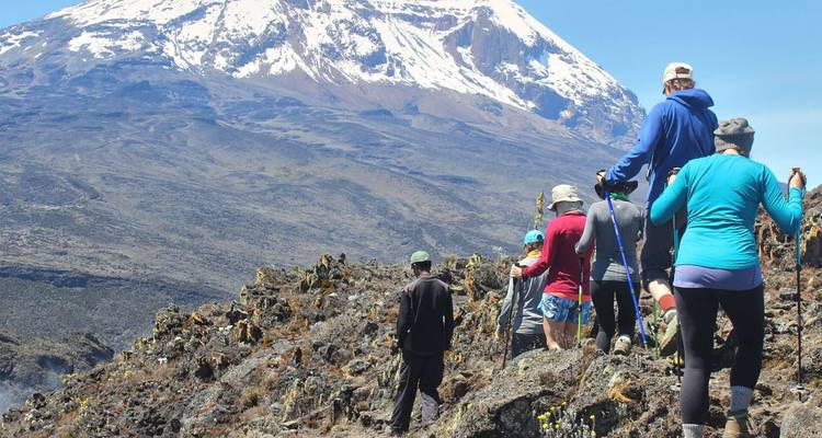 Un groupe de randonneurs gravit la roche volcanique vers le cône enneigé du mont Kilimandjaro par une journée claire.