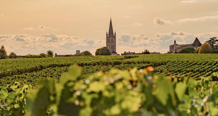 Gouden avondlicht baadt een uitgestrekt wijngaard met een hoge kerkspits die boven het dorpje Saint-Émilion uittorent