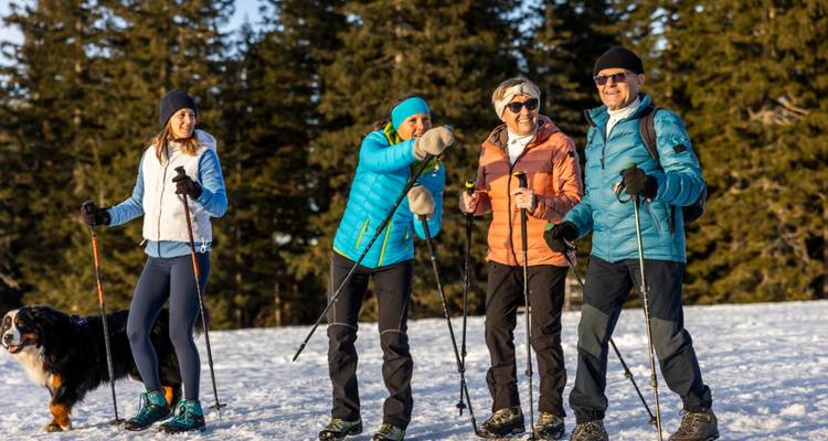 Eine Gruppe von vier Winterwanderern mit Stöcken und einem Hund steht auf einem verschneiten Hang, der von Nadelbäumen begrenzt wird.