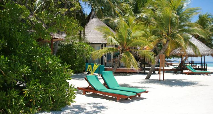 Groene ligbedden op wit zandstrand met palmbomen in de schaduw dicht bij tropische villa's