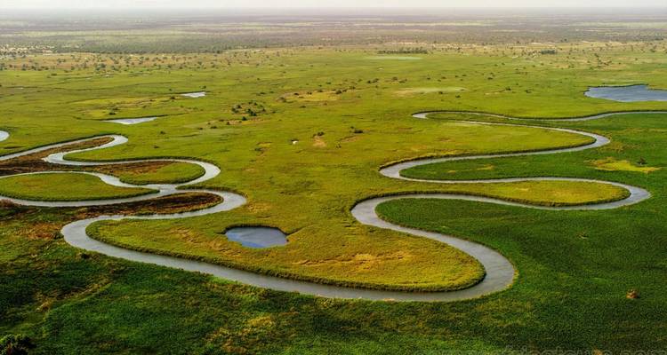 Aerial view of a winding river snaking through green floodplains and wetlands.