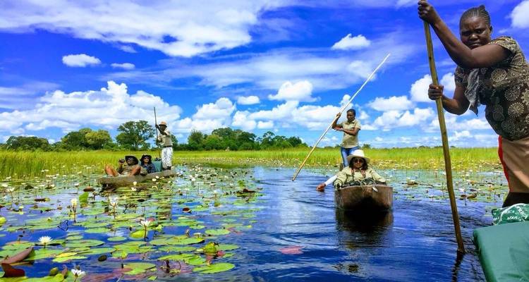 Tourists paddling wooden canoes through a lily-covered lagoon guided by local polers.