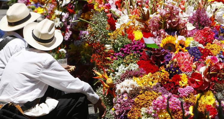Deelnemers aan het bloemenfeest in Medellin werken aan een kleurrijke bloemendisplay.