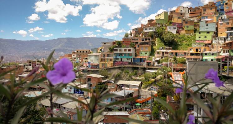 Levendige heuvelwijk van Medellin omzoomd door bloeiende paarse bloemen op de voorgrond.