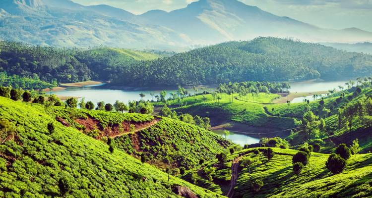 Malerische Munnar-Landschaft mit terrassenförmig angelegten Teegärten, gewundenen Straßen und Seen, die von fernen Gipfeln umrahmt werden.