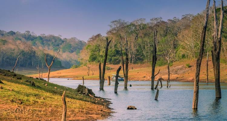 Idyllische Szene von toten Baumstämmen, die bei Einbruch der Dämmerung aus dem blauen Wasser des Periyar-Sees herausragen.