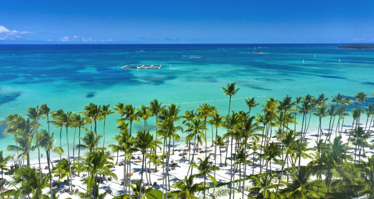 Luchtfoto van turquoise Caribische wateren, wit zandstrand en rijen hoge palmbomen in Punta Cana.