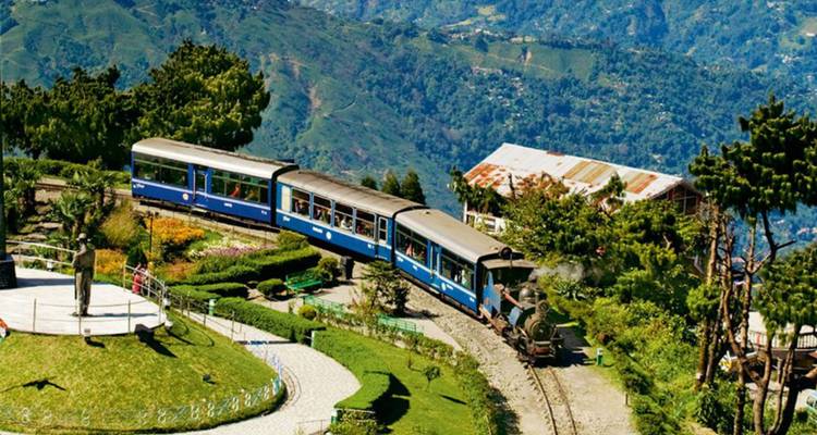 Blue narrow-gauge toy train winding around a green hillside in Darjeeling.