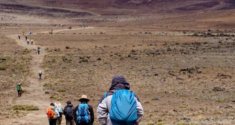 Longue file de randonneurs avec des sacs à dos traversant un plateau aride sur les pentes inférieures du Kilimandjaro