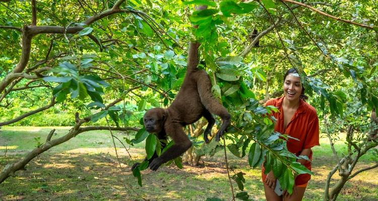 Femme souriante observant un singe brun espiègle suspendu à des branches vertes luxuriantes.