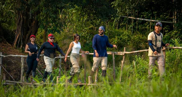 Un petit groupe de randonneurs traversant un pont en bois rustique dans un terrain de jungle dense.