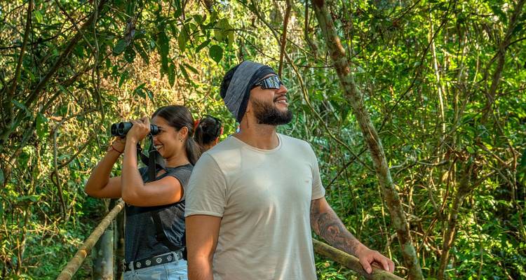 Des voyageurs explorant la canopée de la jungle avec des jumelles le long d'une passerelle en bois.
