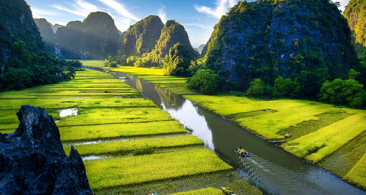 Atemberaubende Luftaufnahme von hellgrünen Reisfeldern, Karstbergen und einem gewundenen Fluss in Ninh Binh, Vietnam.