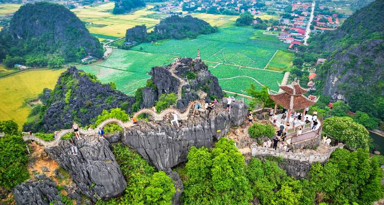 Visitors climb a dragon-shaped stone walkway atop jagged limestone peaks overlooking rice fields.