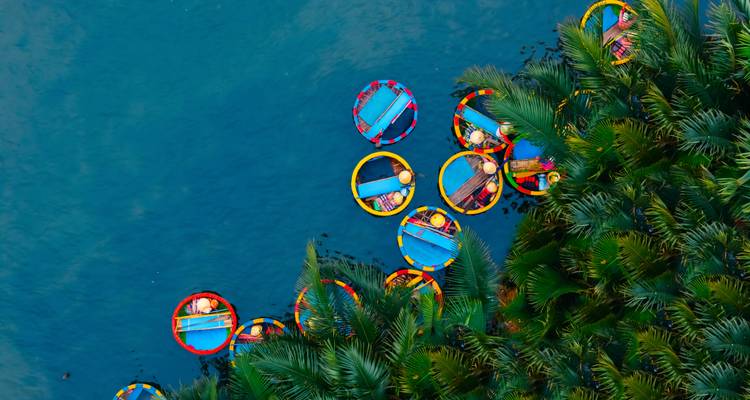 Colourful round basket boats float beside dense palm trees in blue water viewed from above.